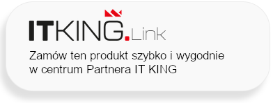 Centrum Parnera IT KING